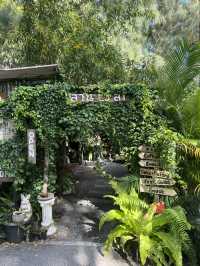 🌿 Lan Ve La Phuket — คาเฟ่ในสวนบรรยากาศดีสุด ๆ 🍃