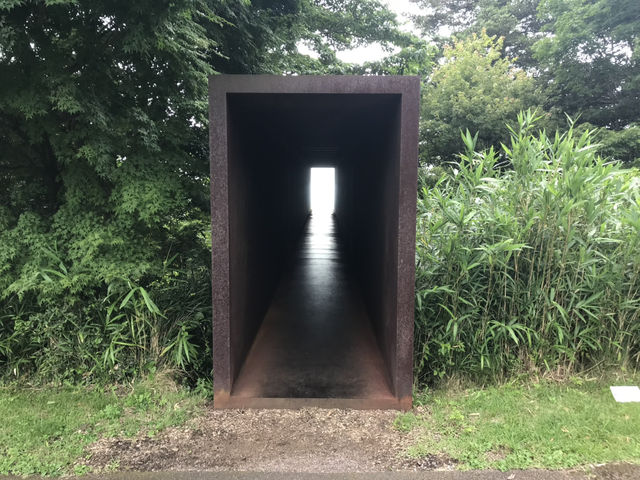 【霧島アートの森】大自然に溶け込む幻想アート体験🎨🌲 【霧島アートの森】大自然に溶け込む幻想アート体験🎨🌲