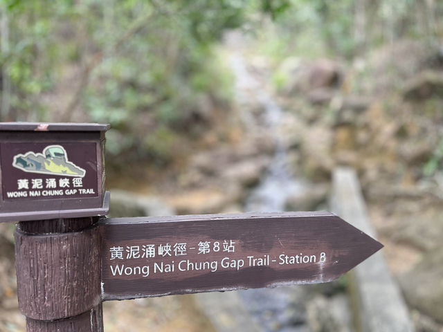 黃泥涌峽徑：重踏戰火記憶，尋找英雄足跡