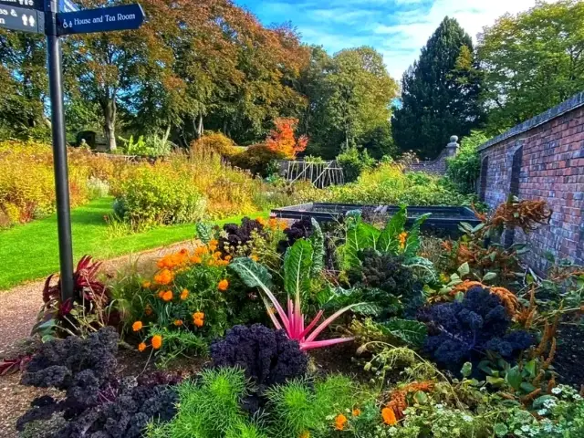 🌸 Winterbourne House & Garden – A Hidden Edwardian Gem in Birmingham