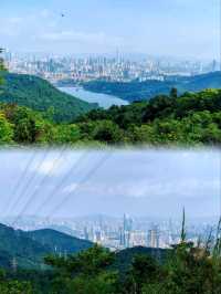 城市遠足必去山林路線🌲