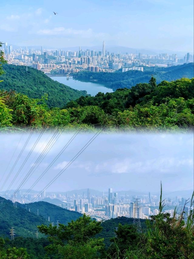 城市遠足必去山林路線🌲