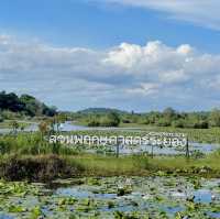 สวนพฤกษศาสตร์ระยอง 🏞️