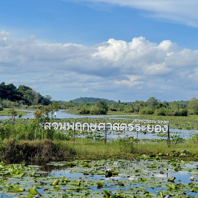 สวนพฤกษศาสตร์ระยอง 🏞️