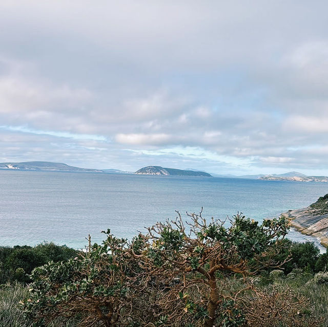 Misery Beach Misery Beach