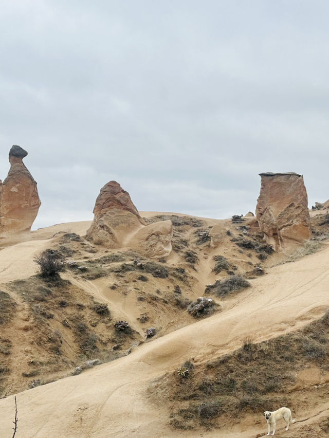 在雪與光之間——冬日土耳其的奇幻 在雪與光之間——冬日土耳其的奇幻