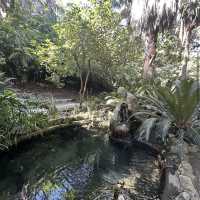 Jardín Botánico Histórico La Concepción