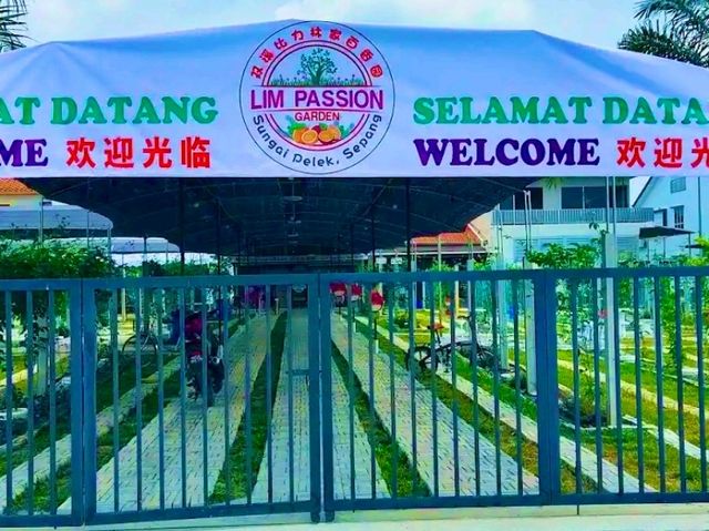 Sepang Itinerary | Passion Fruit Garden & Hiking Adventure