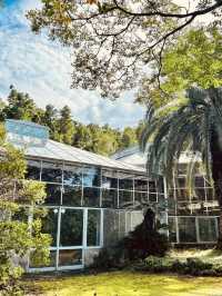  Botanical Showcase of Jeju's Diversity