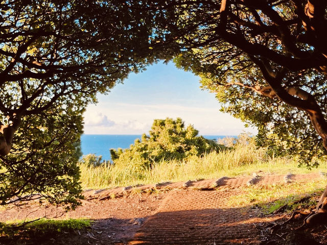 Accessible Natural Beauty for All Ages
