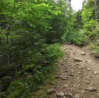 Cascade du Hohwald – The Hidden Gem of the Alsatian Forests