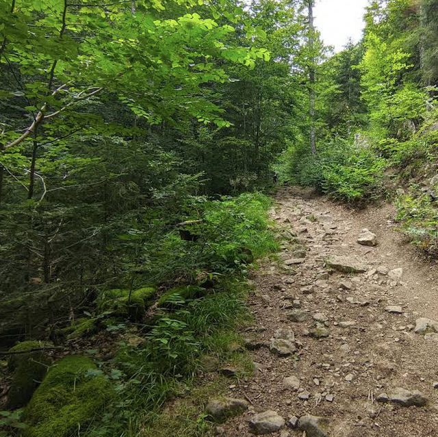 Cascade du Hohwald – The Hidden Gem of the Alsatian Forests