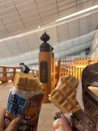 🇯🇵🗾Tokyo in a Nutshell: A Quick Adventure🍡