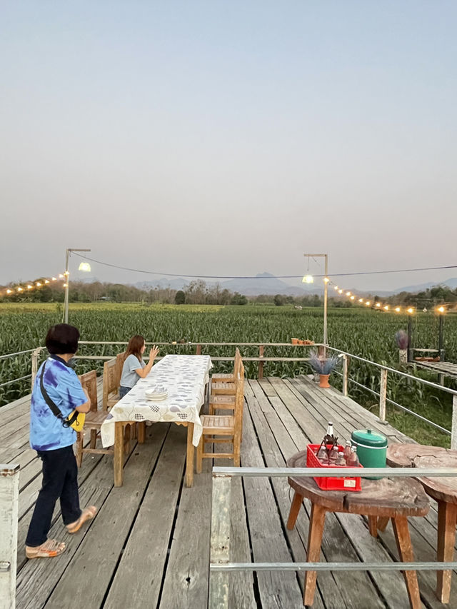 ร้านร่มไม้ชายคา 🌿🍽️ 