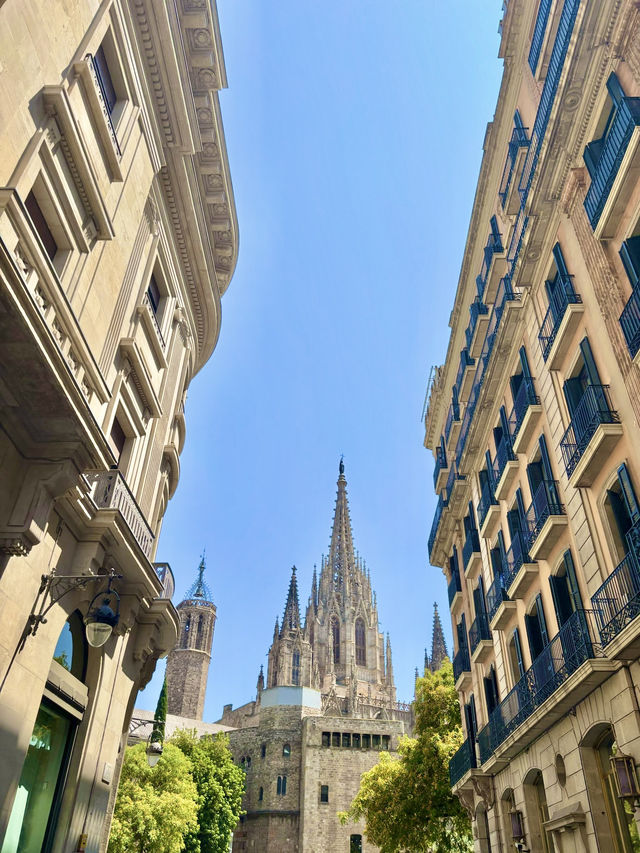 バルセロナの美しいカテドラル🇪🇸スペイン旅 バルセロナの美しいカテドラル🇪🇸スペイン旅