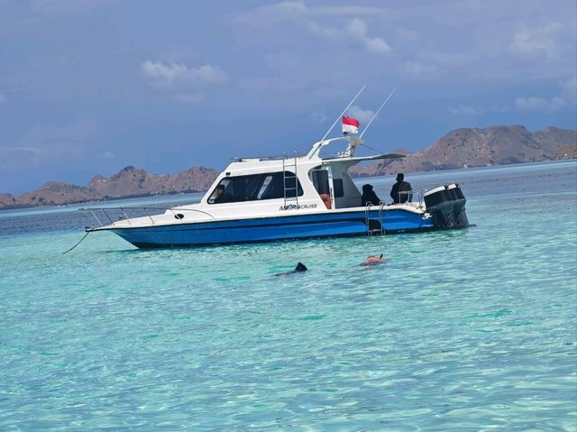 Komodo Wonders🌿 One Day Trip
