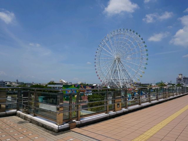 Nagoya Aquariumพิพิธภัณฑ์สัตว์น้ำสุดอลังของนาโกย่า