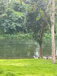 Villa ถูกและดี 🌳🌊 แถม PetFriendly ด้วยไปกัน