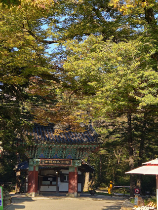 全羅道旅遊勝地，感受秋日氣息🍂🍁