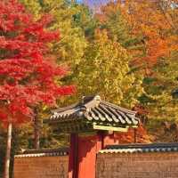 🏛️ Jongmyo Shrine – Seoul’s Timeless Confucian Heritage