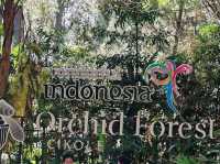 Orchid Forest Cikole, Bandung
