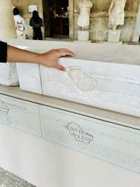 Socrates Steps🏛️ 