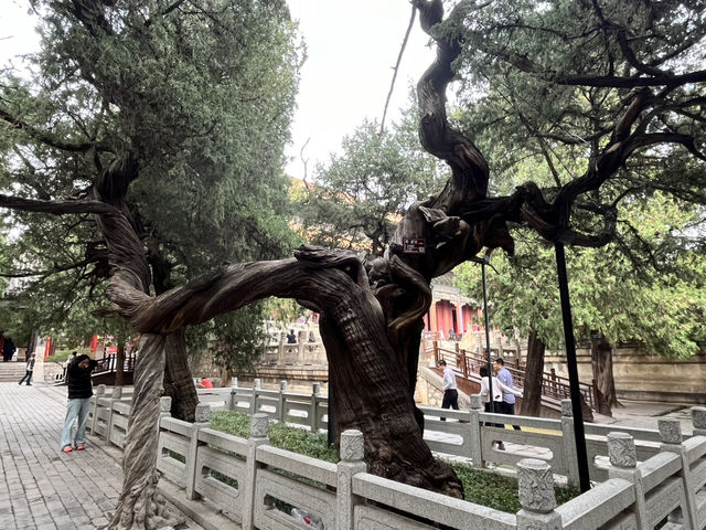 Why Dai Temple Is So Important