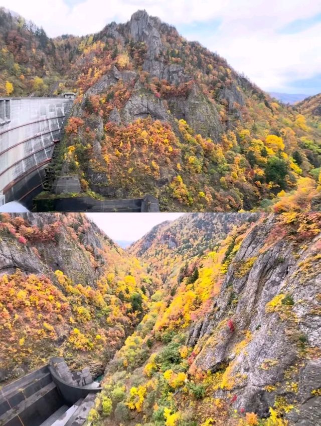 🍁札幌必打卡！深秋豐平峽水庫紅葉絕景全攻略