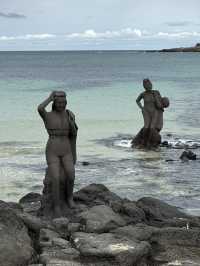 济州岛自然美景与烟火美食交织的舒心体验 💗