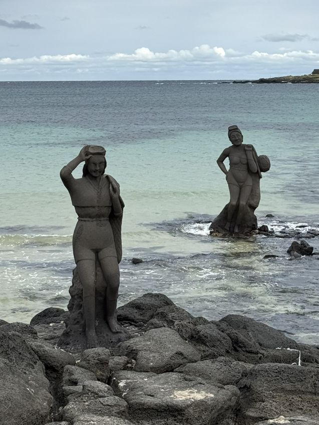 济州岛自然美景与烟火美食交织的舒心体验 💗 济州岛自然美景与烟火美食交织的舒心体验 💗