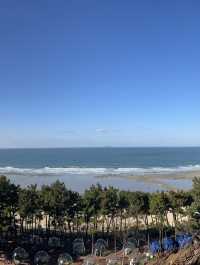 🇰🇷 리솜 아일랜드에서 즐기는 겨울 안면도 여행 가이드