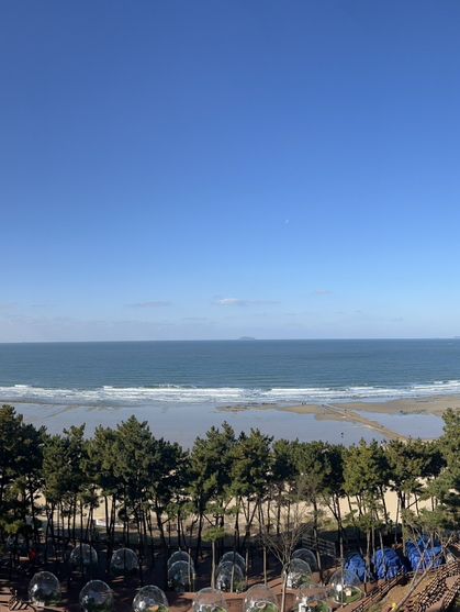 🇰🇷 리솜 아일랜드에서 즐기는 겨울 안면도 여행 가이드 🇰🇷 리솜 아일랜드에서 즐기는 겨울 안면도 여행 가이드