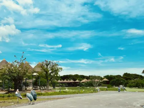 曼谷的動物園日