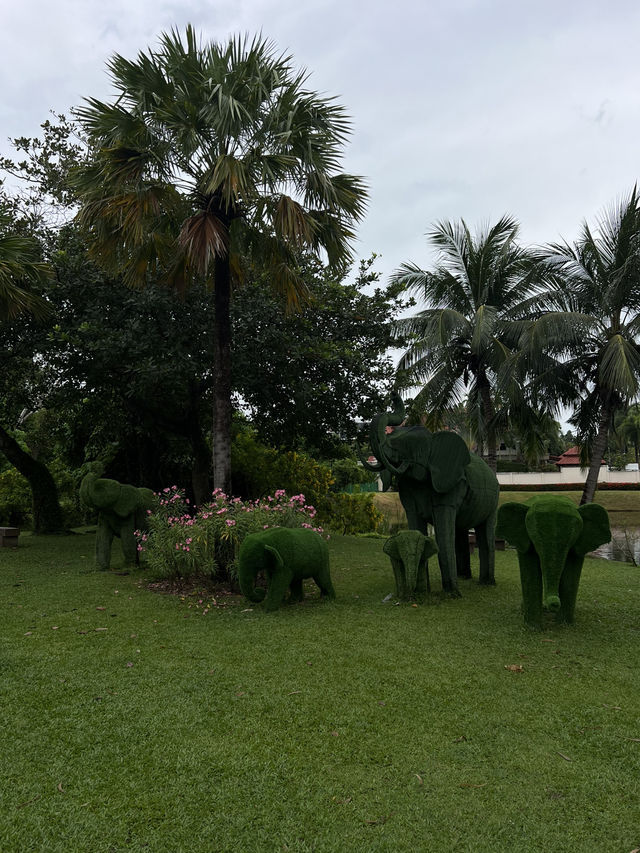 Лагуна - лучший район для проживания с детьми