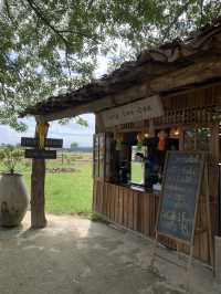 치앙마이 시내에서 20분만 가면 볼 수 있는 코끼리카페