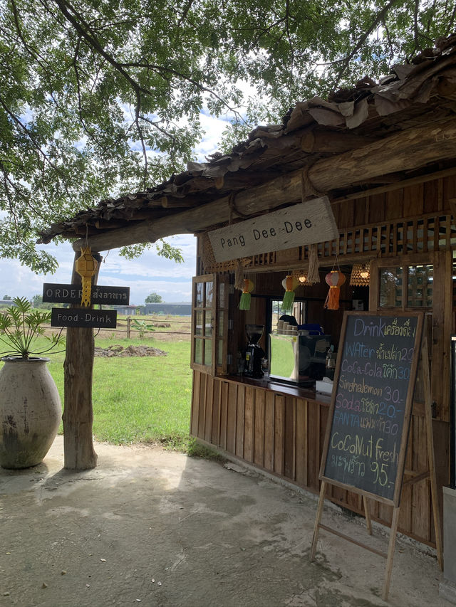치앙마이 시내에서 20분만 가면 볼 수 있는 코끼리카페 치앙마이 시내에서 20분만 가면 볼 수 있는 코끼리카페