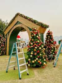 Cerulean Tides and Twinkling Lights: A Harbourfront Christmas