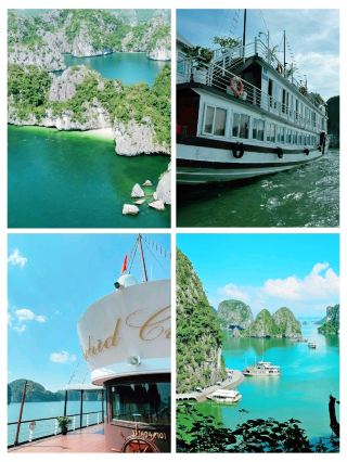 #vietnamtrip
🇻🇳🛥️ Ha Long Bay – Vietnam’s Magical Limestone Paradise! ✨

🌊 Ha Long Bay is one of the most breathtaking natural wonders in Asia — a dreamland of emerald waters, towering limestone cliffs, hidden caves, and peaceful floating villages. It feels like sailing inside a painting!

🌟 Why Visit?
⛰️ Unreal scenery – thousands of limestone karsts rising from turquoise water
🛥️ Cruise experience – sunset decks, kayaking, cave tours
🕳️ Mystical caves – Sung Sot & Thien Cung
🏝️ Island hopping – Titop Island, Pearl farms
🌅 Sunset views – absolutely unforgettable

📍 Location: Quang Ninh Province, Vietnam
💸 Cruise Cost: Budget to luxury (USD 50 to USD 500+ depending on type)
🕒 Best Time: Oct–April (cool, dry, scenic skies)

🚶 How to Reach
Take a bus or van from Hanoi (2.5–3.5 hours).
Most tours include hotel pickup.

#️⃣ #HaLongBay #VietnamTravel #HaLongCruise #NaturalWonder #ExploreVietnam