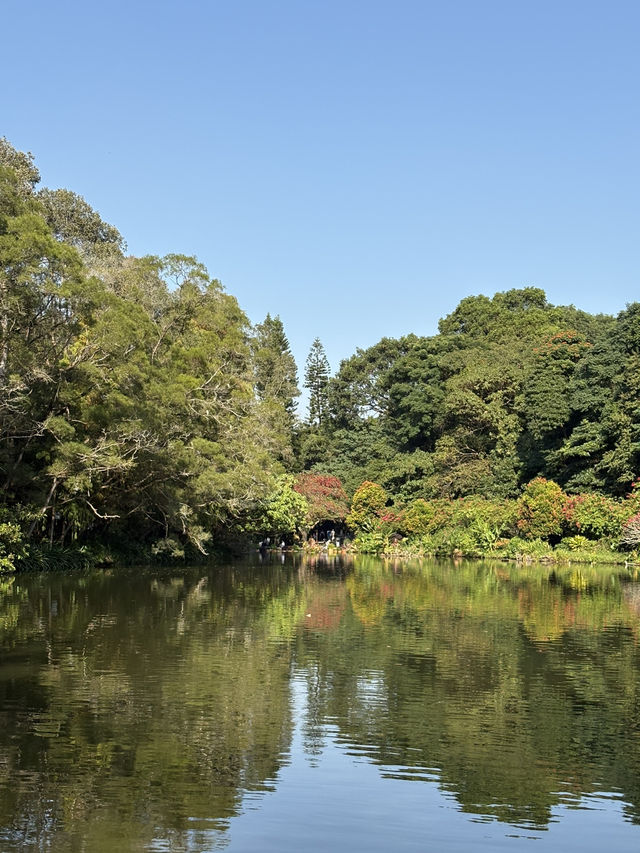 深圳仙湖弘法半日遊,自然療癒與禪意體驗 深圳仙湖弘法半日遊,自然療癒與禪意體驗
