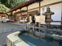 🕊️ 春日大社:許願的靈性場所