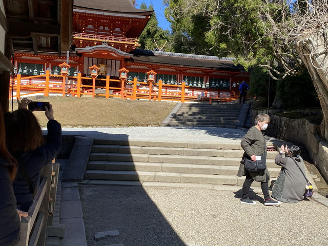 🕊️ 春日大社:許願的靈性場所 🕊️ 春日大社:許願的靈性場所