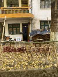 不用飛韓國及日本,在中國廣東也可看到超美的銀杏🤩🤩