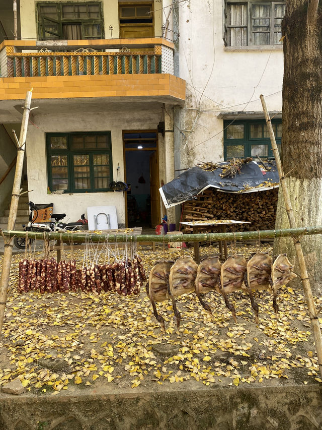 不用飛韓國及日本,在中國廣東也可看到超美的銀杏🤩🤩 不用飛韓國及日本,在中國廣東也可看到超美的銀杏🤩🤩