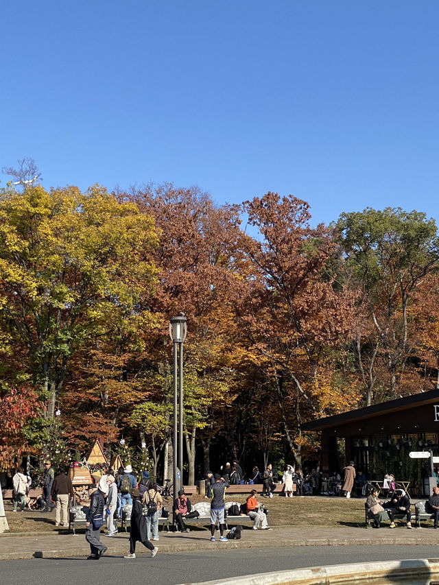 Osaka park fountain