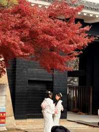 大阪｜連兩年造訪大阪城 看秋日銀杏與楓紅的別樣美感