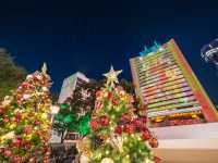 Celestial Contrast: The Luminous Geometry of Christmas