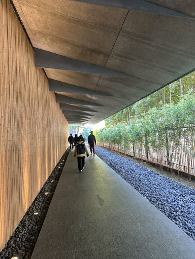 Nezu Museum: A Must-Visit Japanese Oasis | Trip.com Tokyo