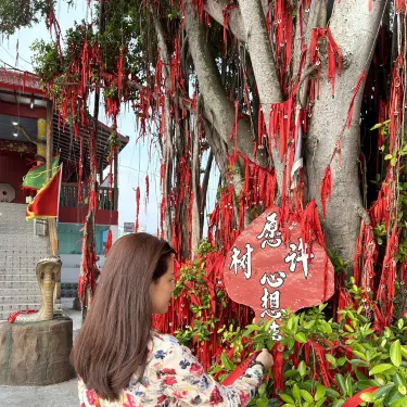 想快速逃離吉隆坡？適耕莊和亞庇完美融合了稻田風光、文化底蘊和 ...