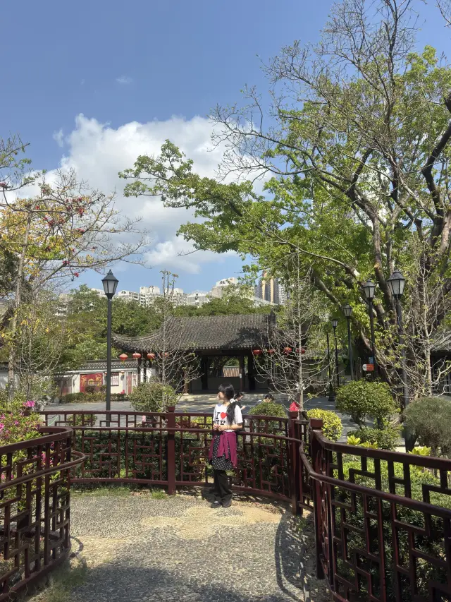 A Must-Visit Park in Hong Kong