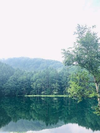 【長野は広い*見どころ盛り沢山】茅野・松本・戸隠・小布施